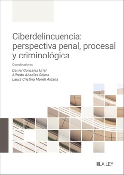 Ciberdelincuencia: perspectiva penal, procesal y criminológica