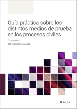 Guía práctica sobre los distintos medios de prueba en los procesos civiles
