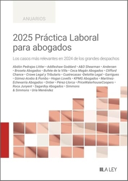 2025 PRACTICA LABORAL PARA ABOGADOS