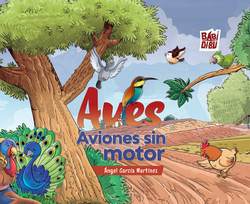 AVES, AVIONES SIN MOTOR