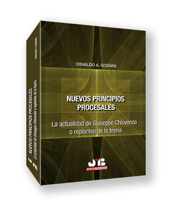 Nuevos principios procesales