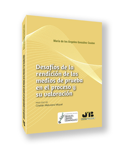 Desafíos de la rendición de los medios de prueba en el proceso y su valoración