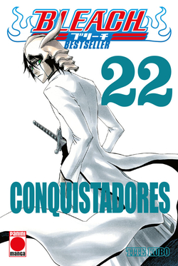Bleach bestseller n.22
