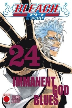 Bleach bestseller n.24