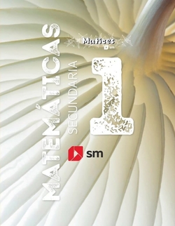 Matemáticas. 1 Secundaria. Matices