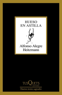 Hueso en astilla