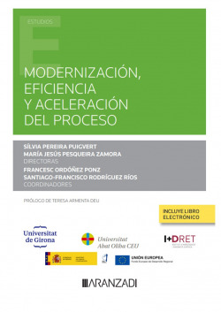 MODERNIZACION EFICIENCIA Y ACELERACION DEL PROCESO
