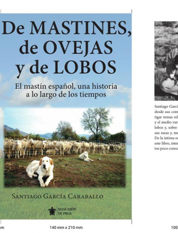 De mastines, de ovejas y de lobos.