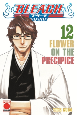 Bleach bestseller n.12