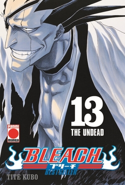 Bleach bestseller n.13