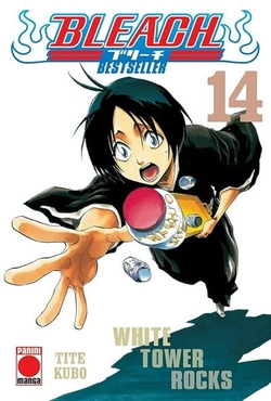 Bleach bestseller n.14