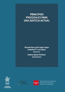Principios procesales para una justicia actual