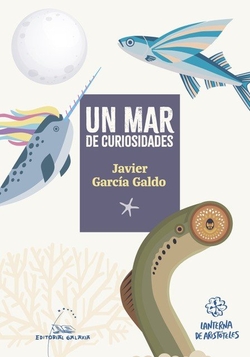 (g).un mar de curiosidades.(lanterna de aristoteles)