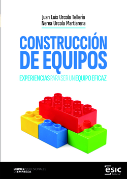 CONSTRUCCIÓN DE EQUIPOS