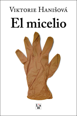 -El Micelio-