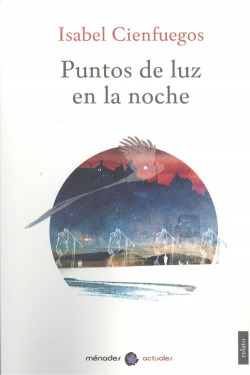 PUNTOS DE LUZ EN LA NOCHE