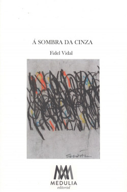 A SOMBRA DA CINZA