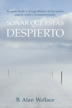 SOÑAR QUE ESTAS DESPIERTO