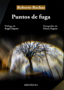 Puntos de fuga