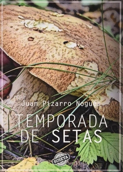 TEMPORADA DE SETAS