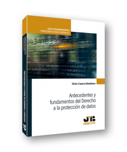 Antecedentes y fundamentos del derecho a la protección de datos