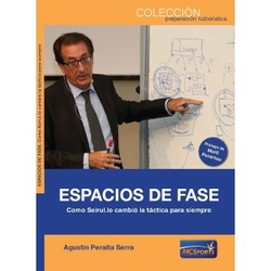 ESPACIOS DE FASE . COMO SEIRUL.LO CAMBIÓ LA TÁCTICA PARA SIEMPRE