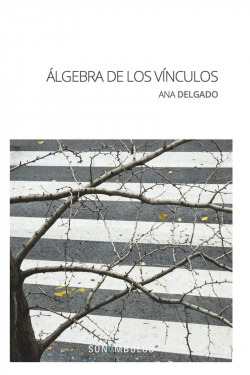 ÁLGEBRA DE LOS VÍNCULOS