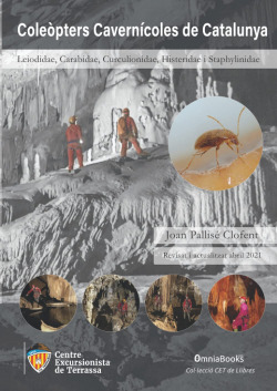 Coleòpters cavernícoles de Catalunya