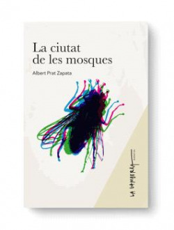 La ciutat de les mosques