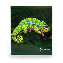 ANIMALES DE LA SELVA
