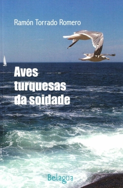 Aves turquesas da soidade