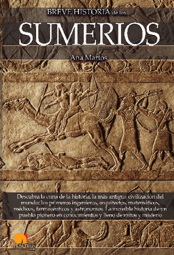 Breve historia de los sumerios N.E.
