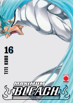 Bleach max