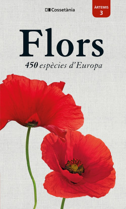 Flors