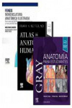 PACK GRAY-FENEIS-NETTER