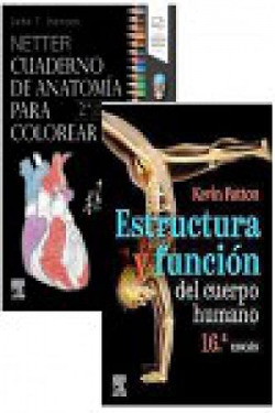 LOTE HANSEN PATTON ESTRUCTURA