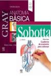 LOTE GRAY ANATOMIA BASICA 3 ED SOBOTTA CUADERNO ANATOMIA 5