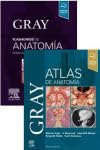 GRAY ANATOMIA ATLAS Y FLASHCARDS