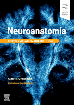 Neuroanatomia