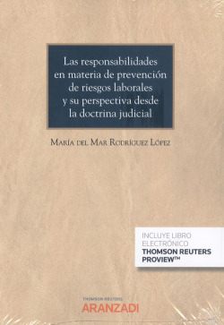 Responsabilidades en materia de prevención de riesgos laborales y su perspectiva