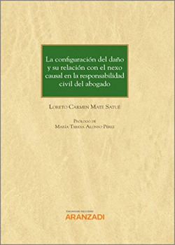 Configuracion daño y relacion con nexo causal en responsabi