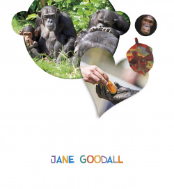 JANE GOODALL 4 AÑOS. PROYECTOS ¿LO VES?