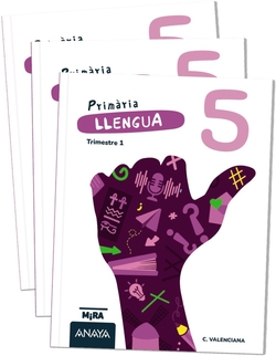 LLENGUA 5