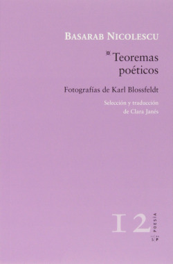 Teoremas poéticos