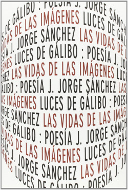 VIDAS DE LAS IMAGENES,LAS