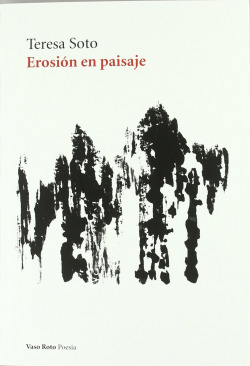 EROSION EN PAISAJE