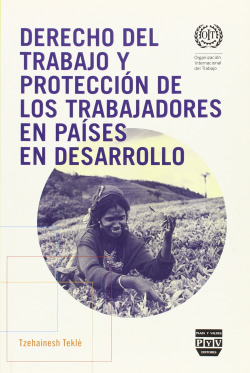 Derecho trabajo proteccion trabajadores paises desarrollo