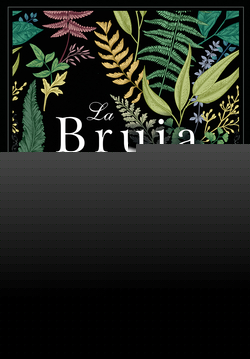 LA BRUJA VERDE