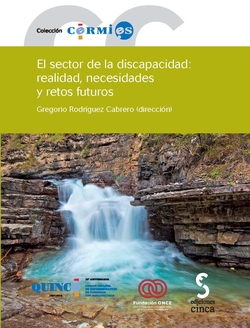 El sector de la discapacidad