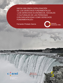 Hacia una unica catalogación de los derechos fundamentales